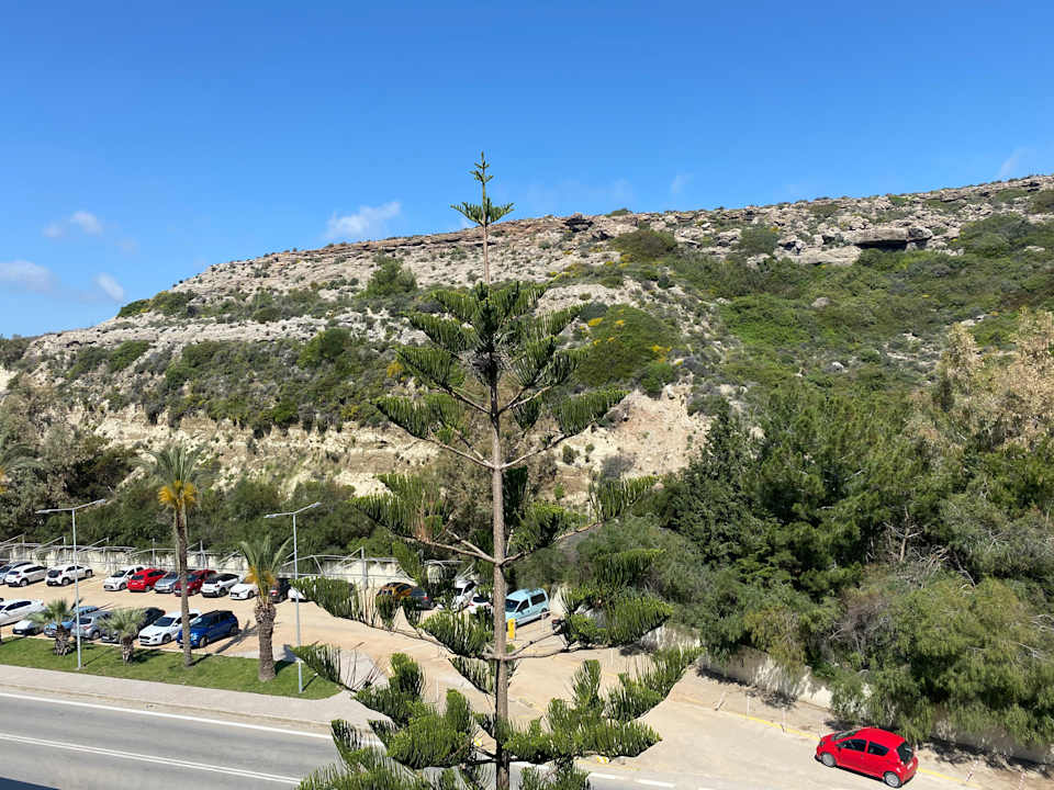 Ausblick Rodos Palladium Leisure & Wellness