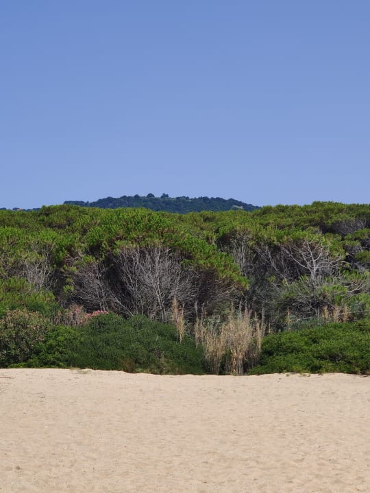 Strand TUI MAGIC LIFE Calabria