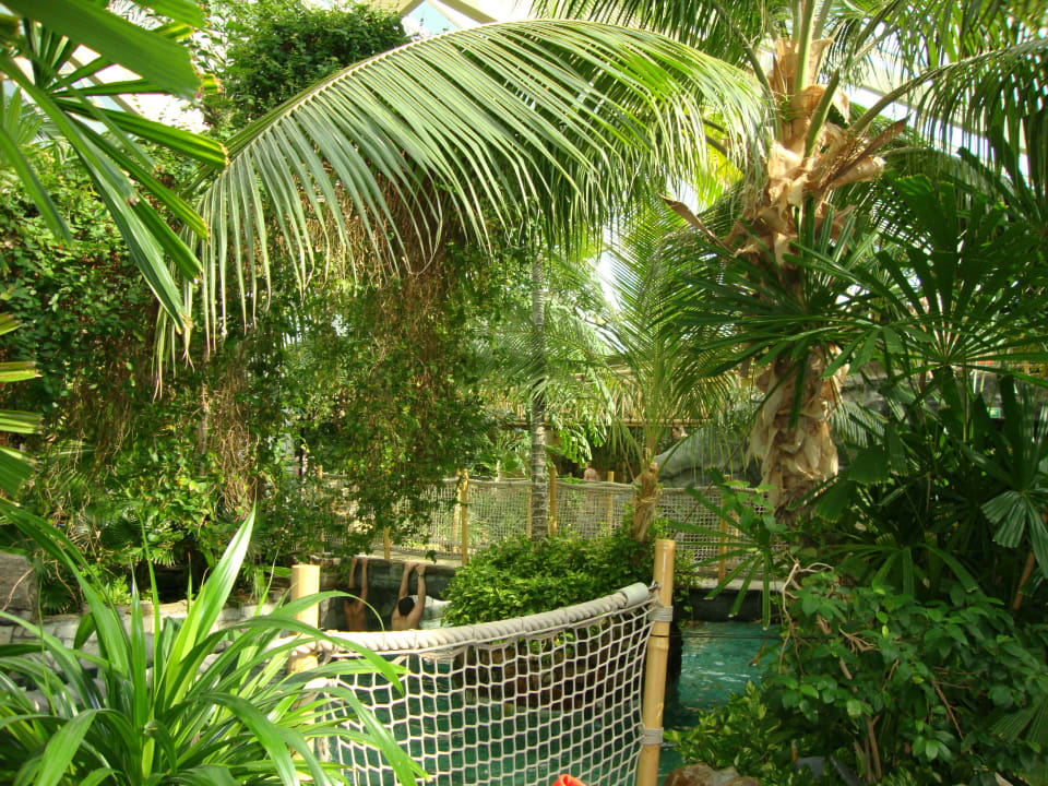 Aqua Mundo Center Parcs De Eemhof