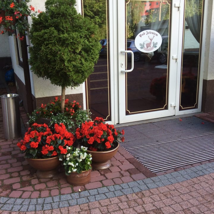 Lobby Hotel Pod Jeleniem