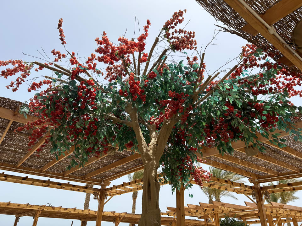 Gartenanlage Casa Mare Resort