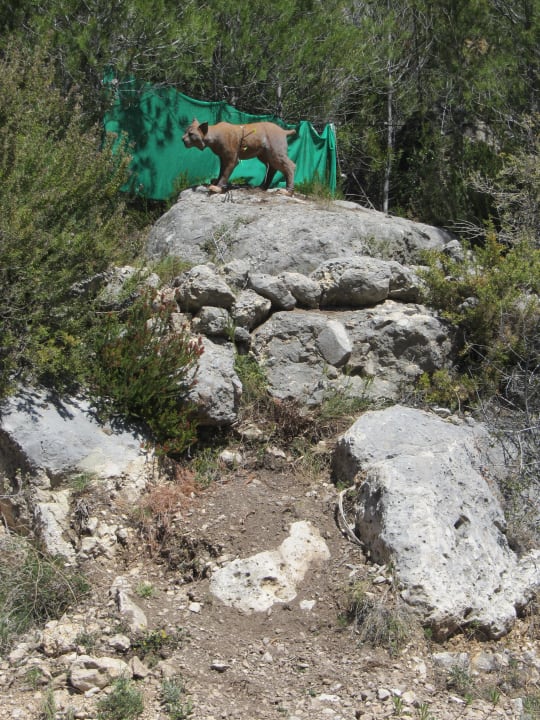 Bogenparcours Hotel Villa Lehmi