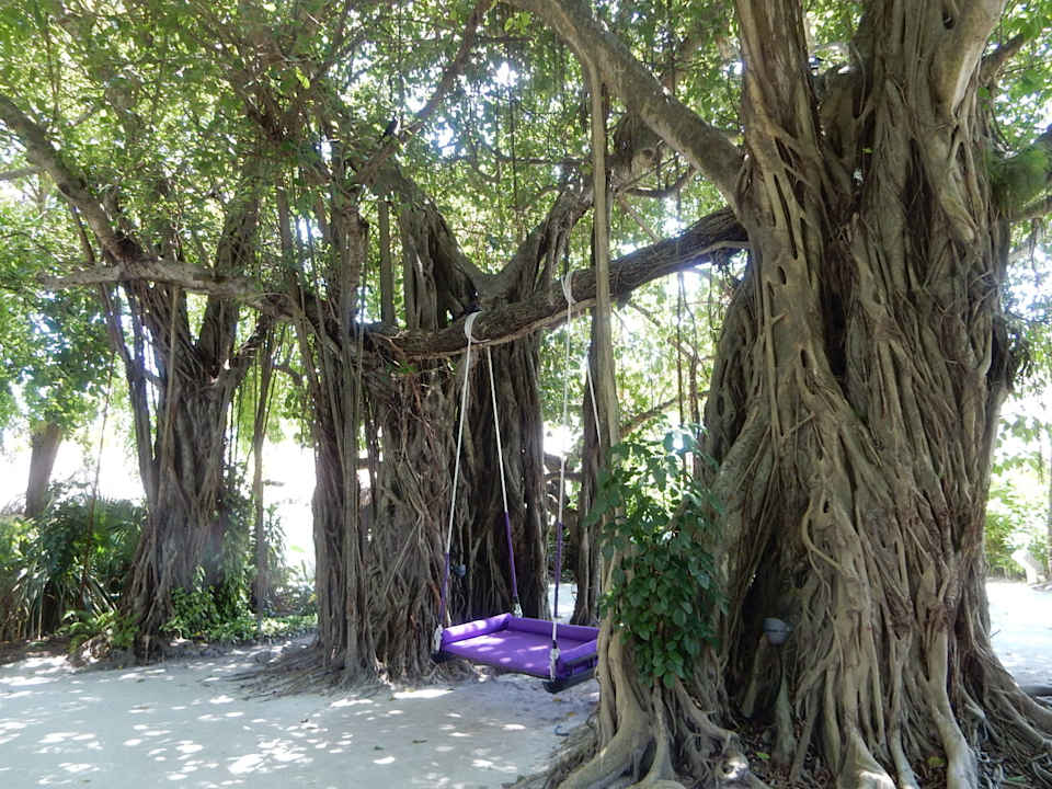 Außenansicht Sheraton Maldives Full Moon Resort & Spa