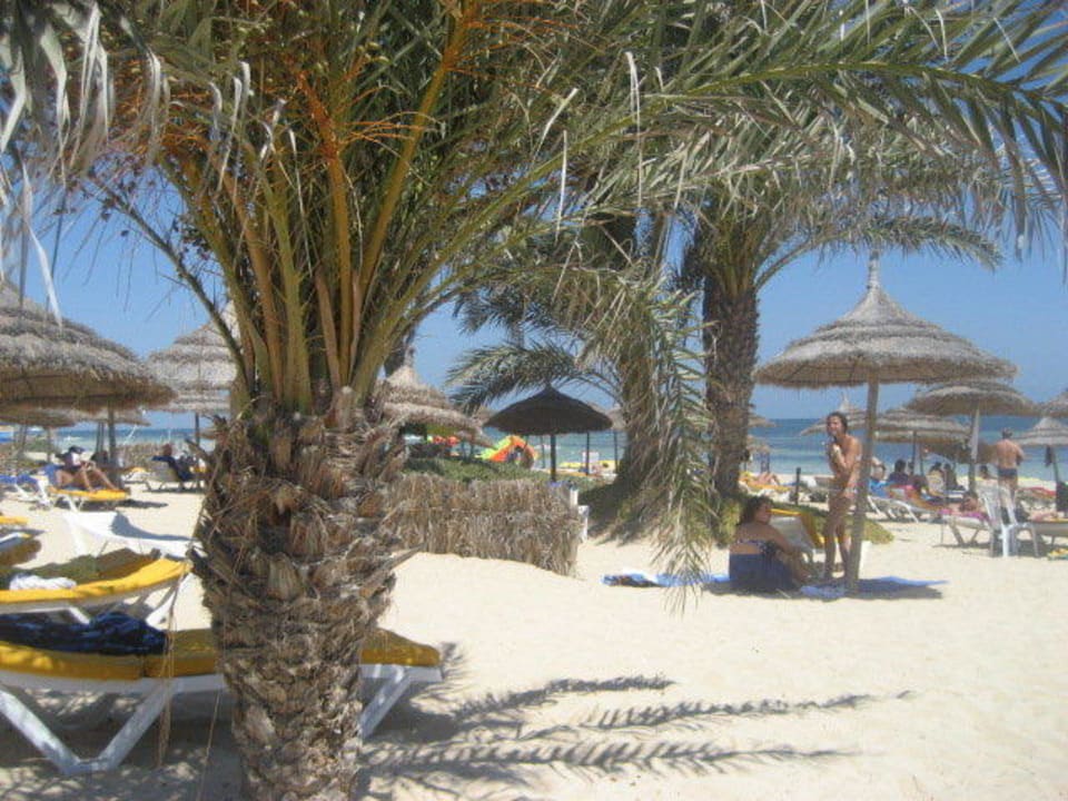 Strand vom Liegestuhl aus Hotel Eden Star