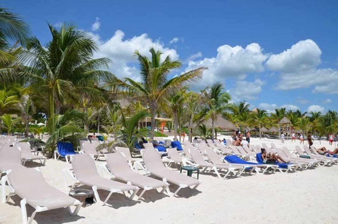 Standard-Bereich Catalonia Playa Maroma