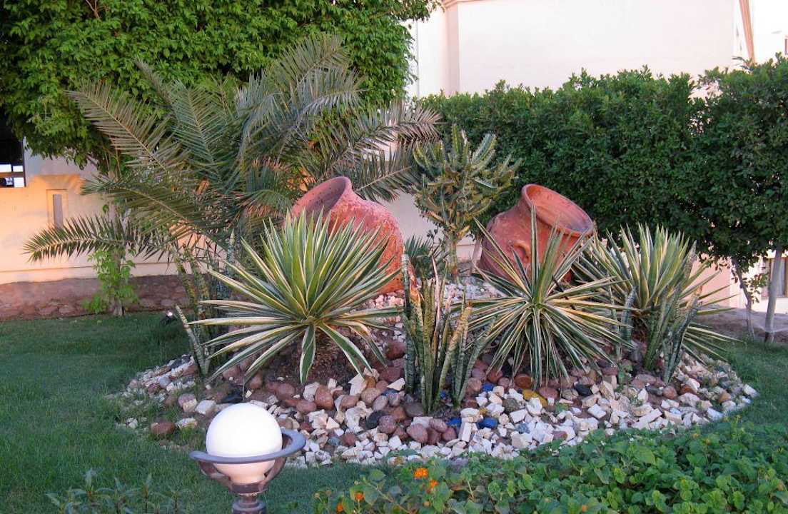 Gartenbepflanzung  Charmillion Club Resort