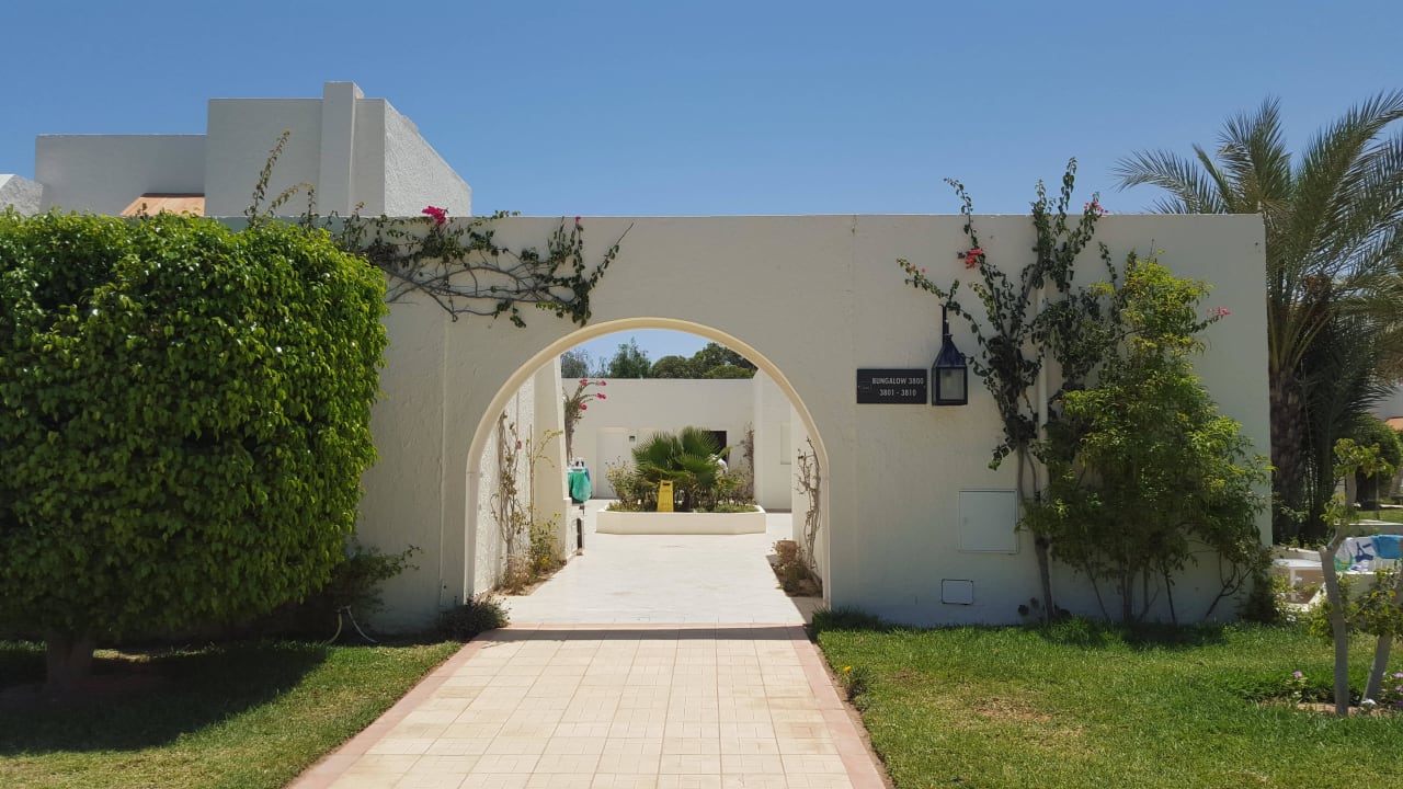  Eindrücke aus unserem Urlaub im Juli 2016 in Djerba TUI MAGIC LIFE Penelope Beach