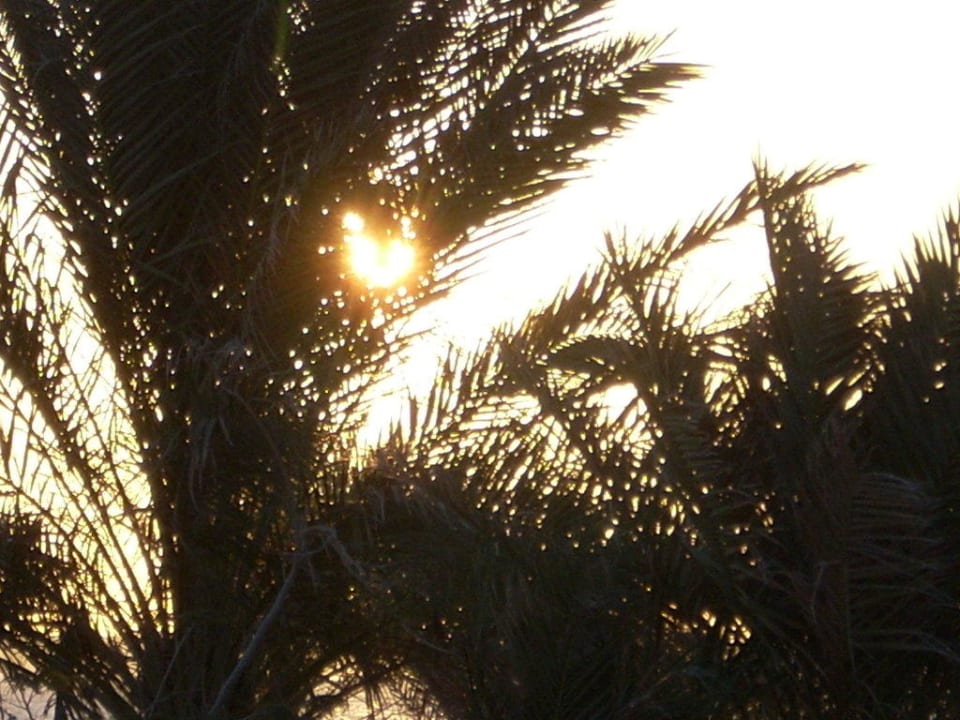 Romantik Parrotel Beach Resort