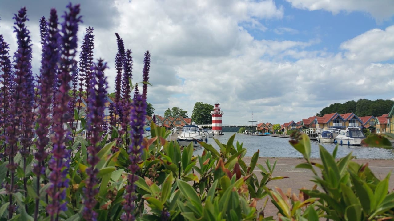 Blick vom Seaport Restaurant Precise Resort Hafendorf Rheinsberg