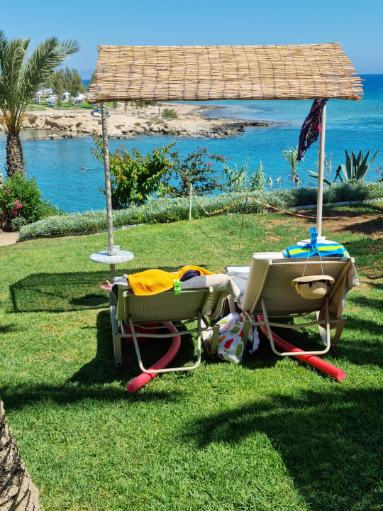 Gartenanlage Crystal Springs Beach Hotel