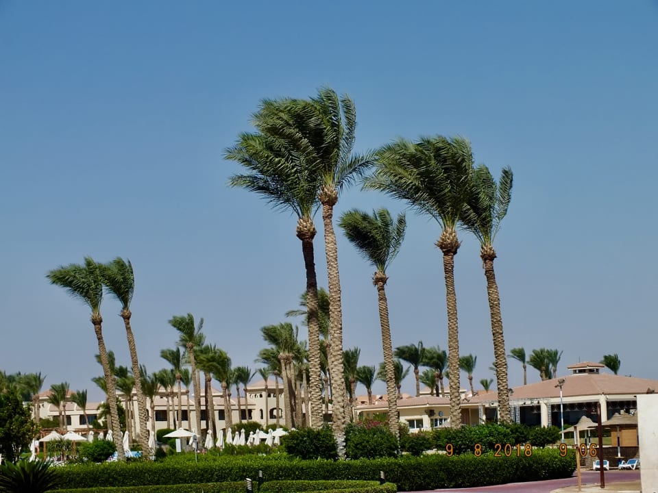 Außenansicht Cleopatra Luxury Resort Makadi Bay