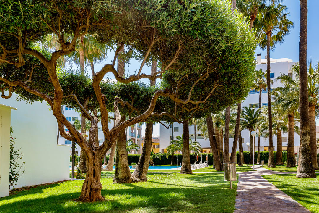 Gartenanlage Apartamentos Tamarindos