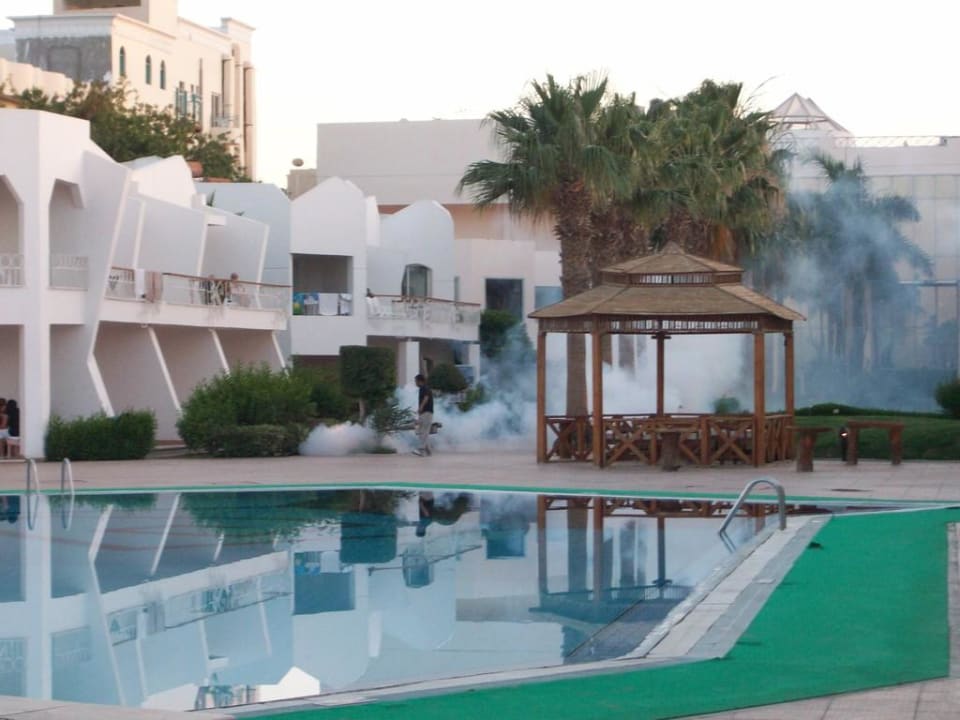 Mückenbekämpfung Hotel Aqua Fun