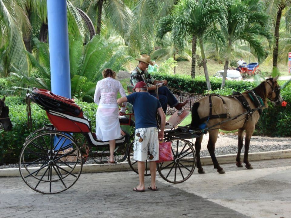 Eingang Hotel Paradisus Rio de Oro Resort & Spa - Adults only