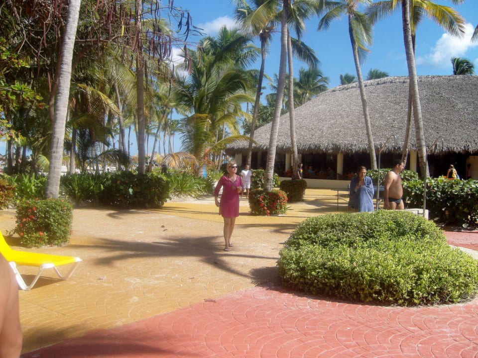 Restaurant am Strand Catalonia Punta Cana - All Inclusive