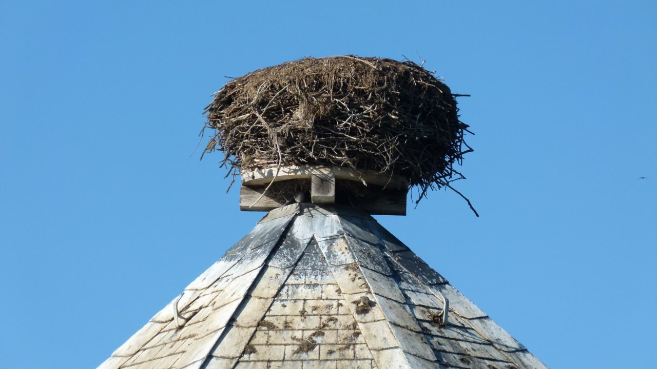  Storchennest Landhotel Storchenkrug
