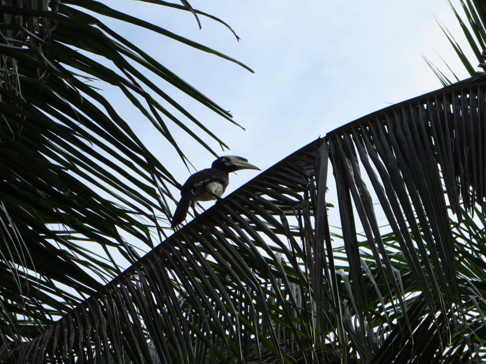 Sonstiges Hotel Koyao Island Resort