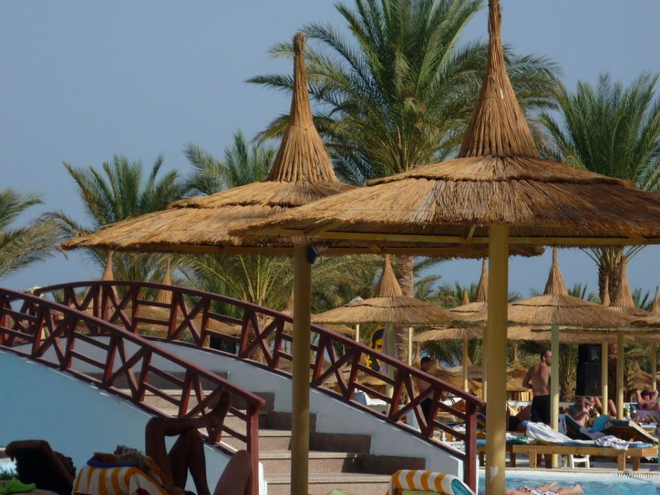 Pool am Strand Beach Albatros Resort