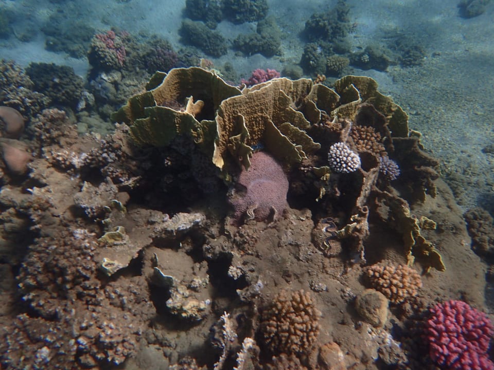 Strand Three Corners Equinox Beach Resort