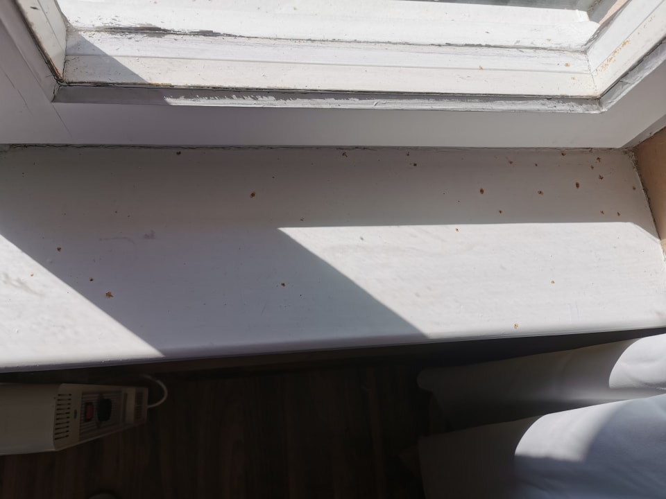 Zimmer Residenz am See