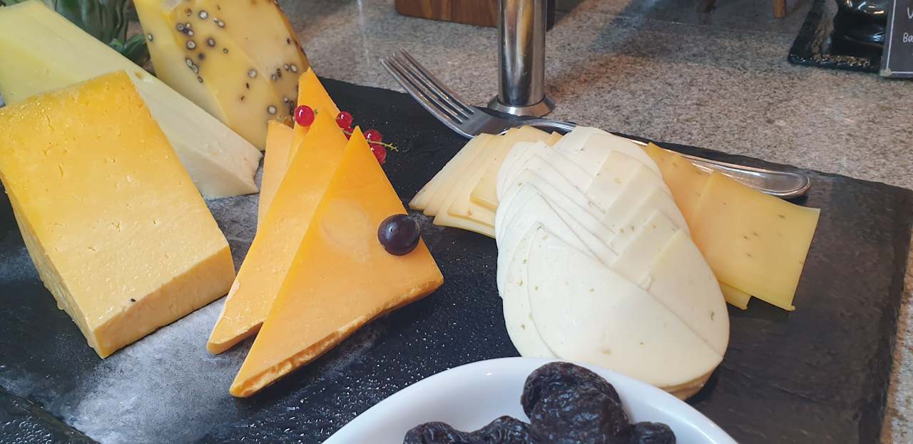 Gastro JAZ Elite Asteria