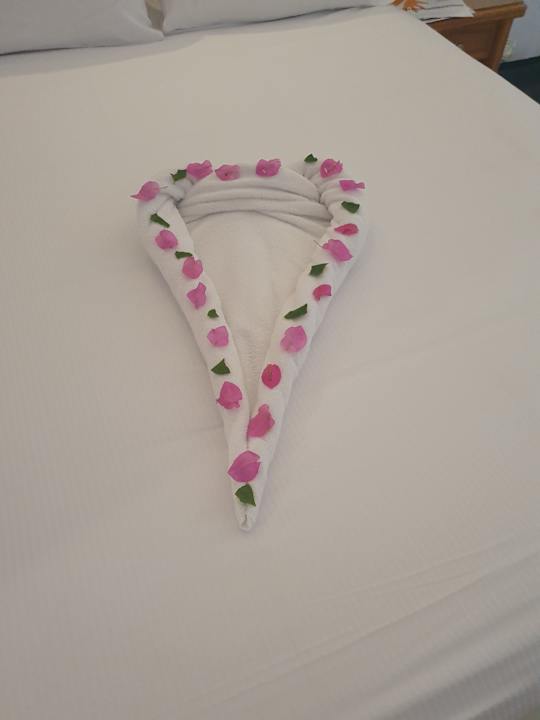 Sonstiges Desert Rose