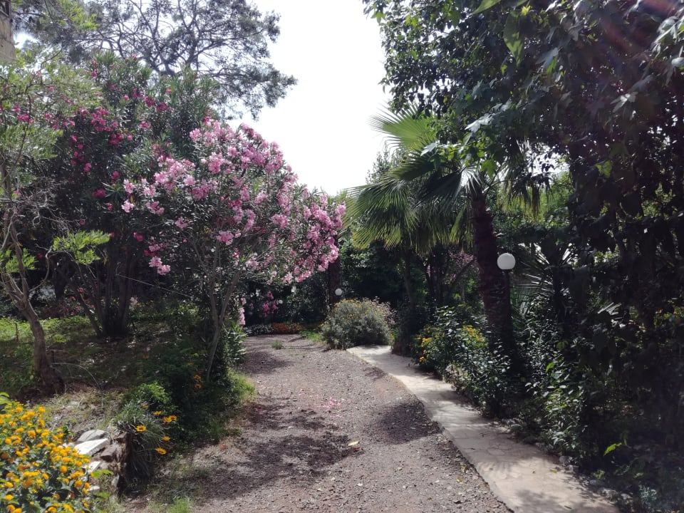 Gartenanlage LYKIA lodge | home of happiness