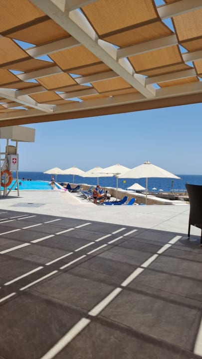 Pool Pickalbatros Citadel Resort