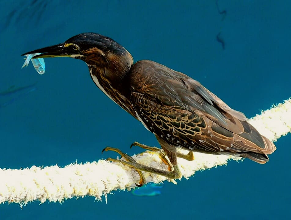 Strand Steigenberger Aqua Magic