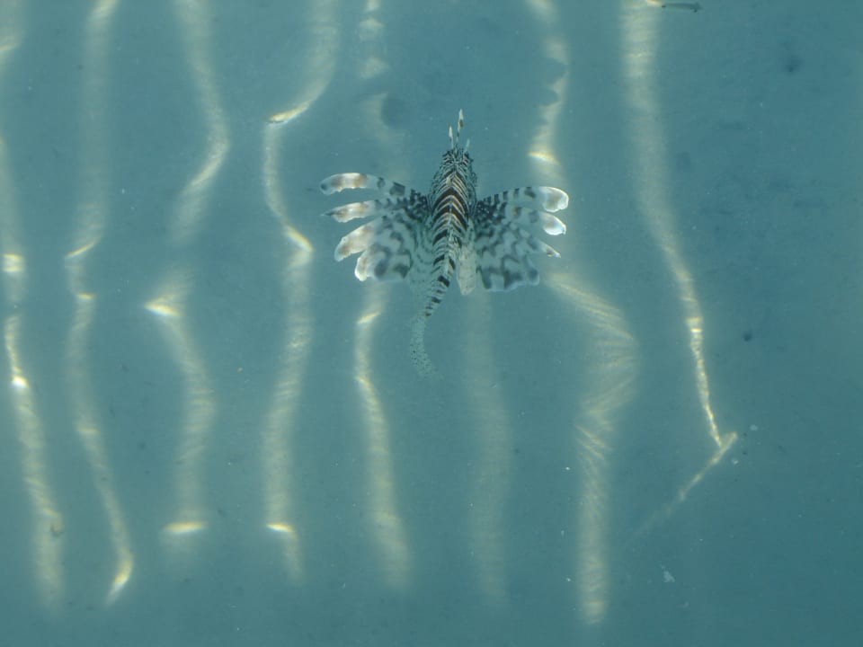 Strand Casa Mare Resort