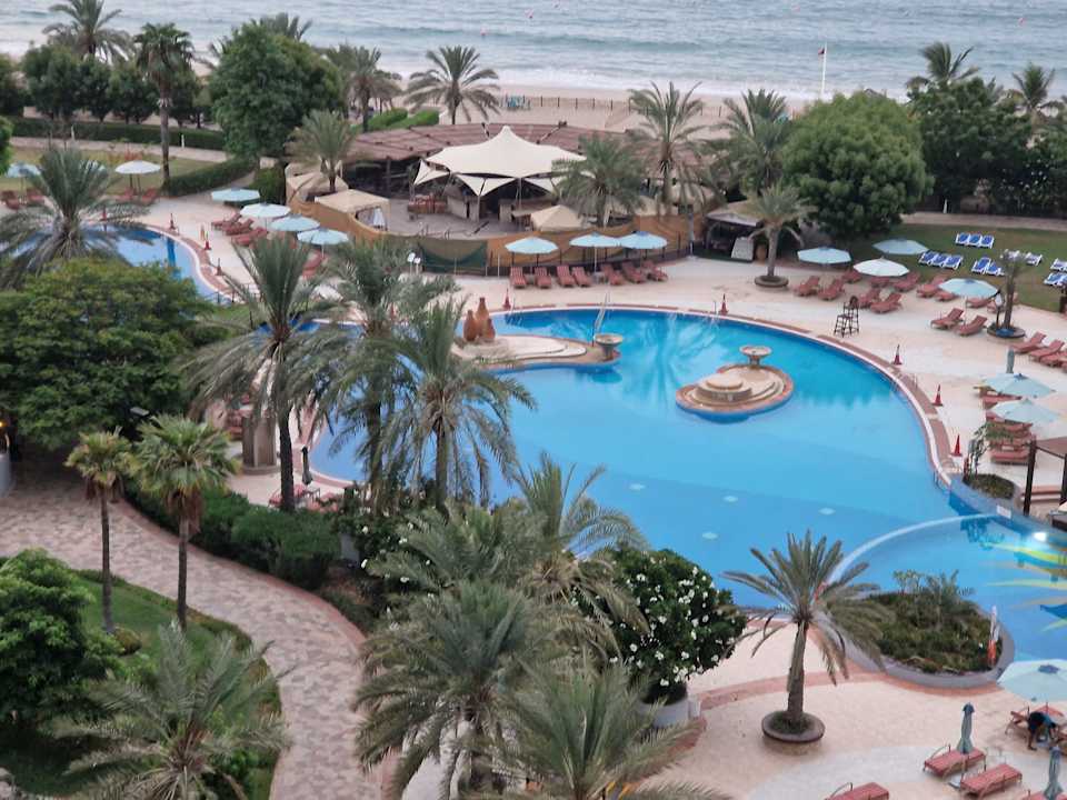 Pool Hotel Le Meridien Al Aqah Beach Resort