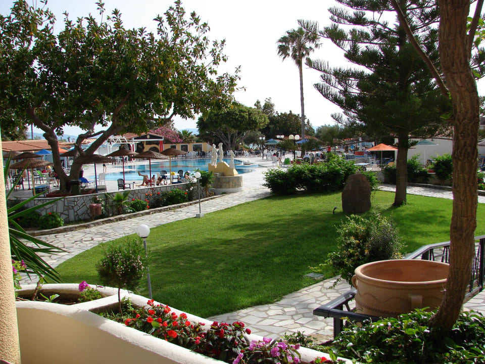 Gummibaum am Pool Atlantis Hotel