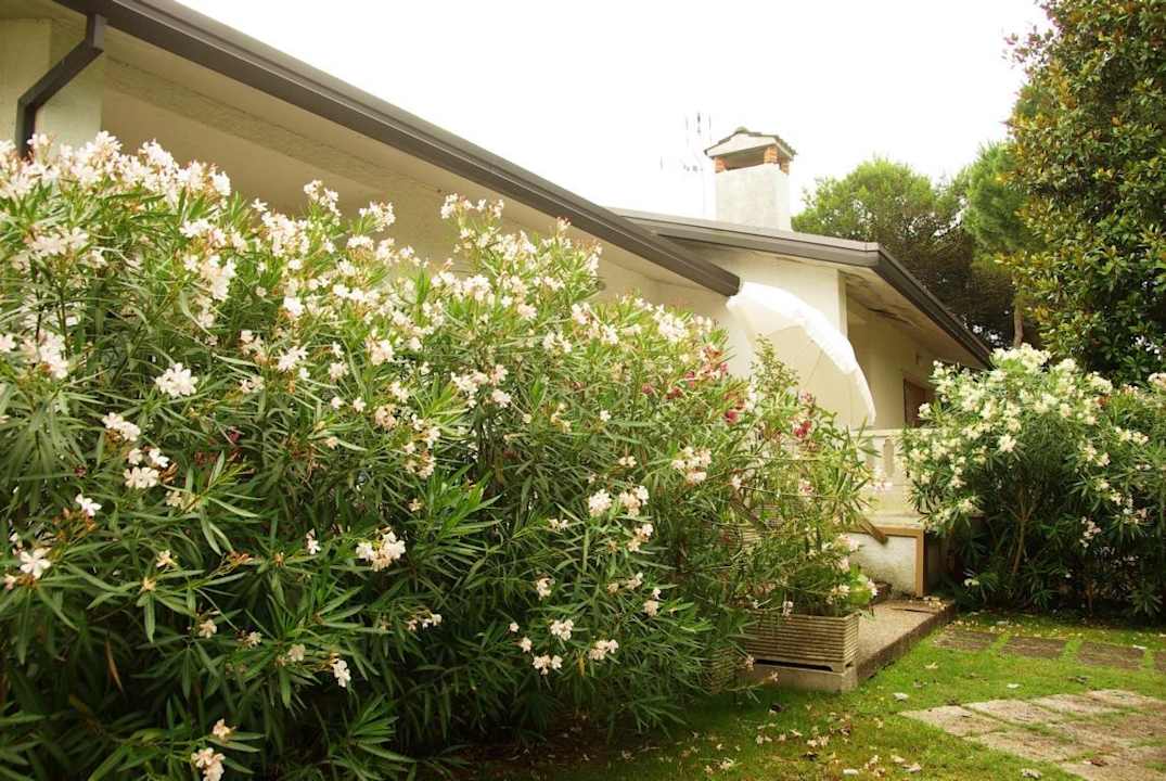 Zur Terrasse hoch gesehen Villa Erica