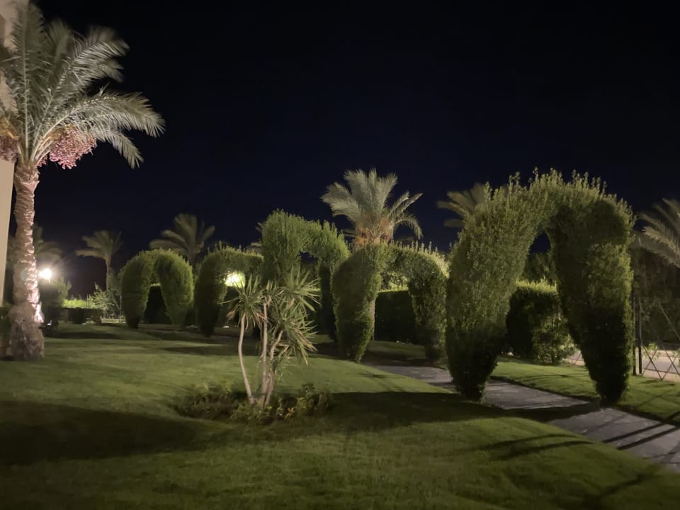 Gartenanlage Hotel JAZ Makadi Star & Spa