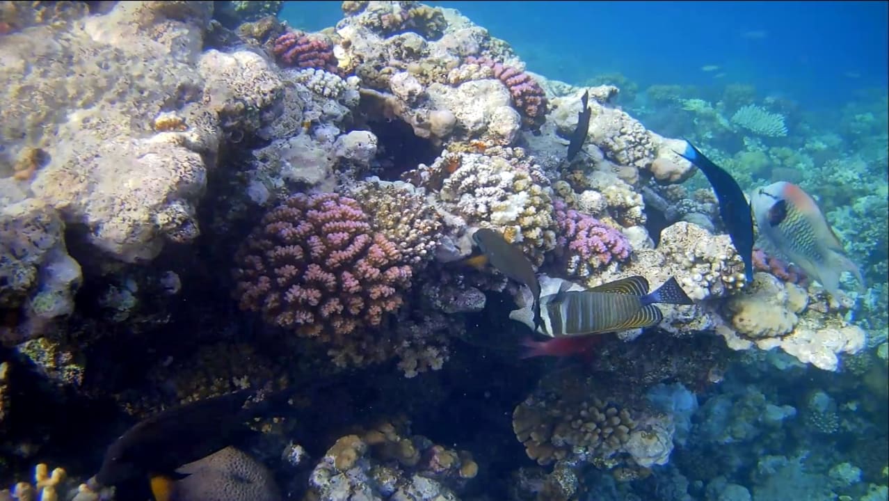 Strand Makadi Spa - Adults only