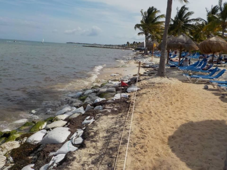 Algenbrühe jeden Tag BlueBay Grand Esmeralda