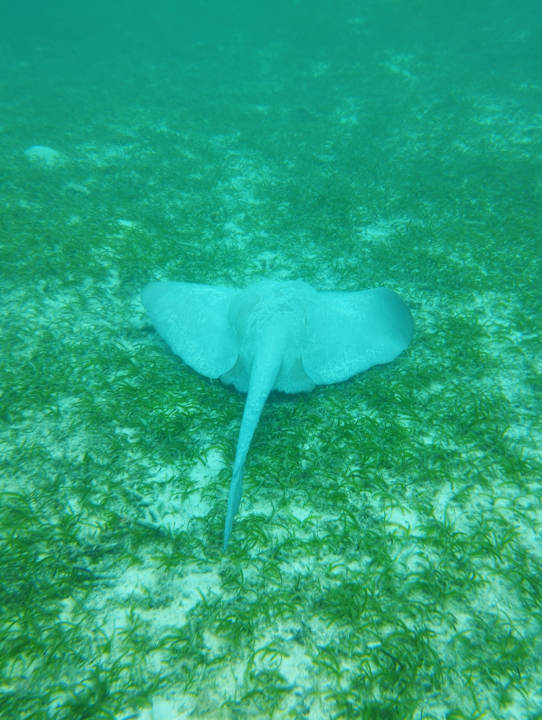 Sport & Freizeit Jawakara Islands Maldives