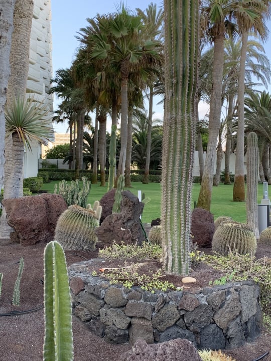 Außenansicht Hotel Riu Palace Tres Islas