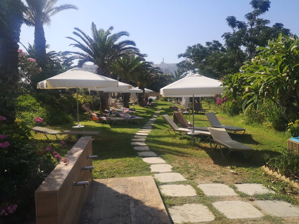 Gartenanlage Crystal Springs Beach Hotel