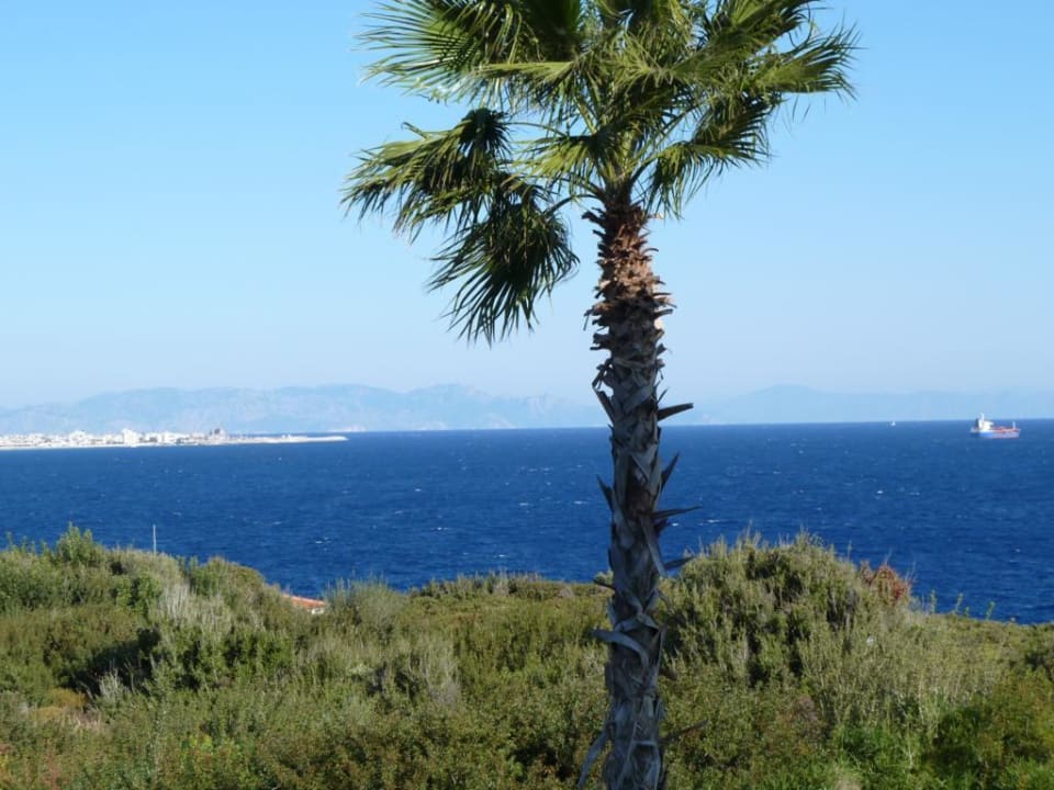 Blick über Rhodos zur Türkei Hotel Kalithea Horizon Royal