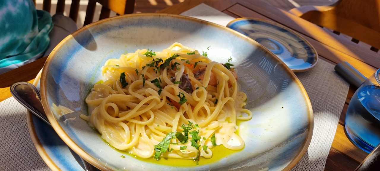 Gastro JAZ Elite Asteria