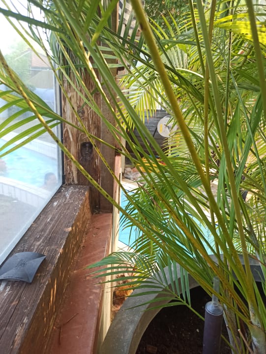 Pool Center Parcs Park Nordseeküste