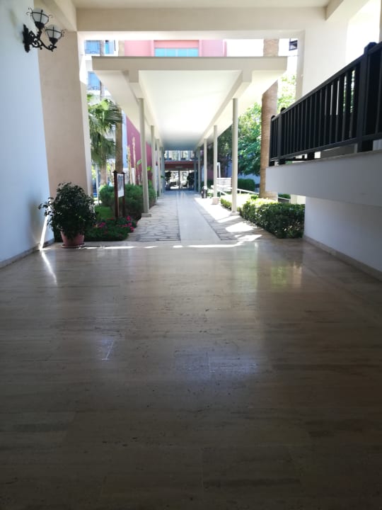Sonstiges Barut Hemera