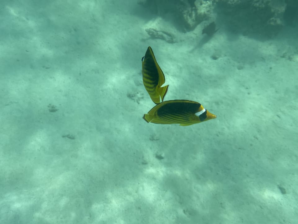 Sport & Freizeit Gravity Hotel & Aquapark Sahl Hasheesh