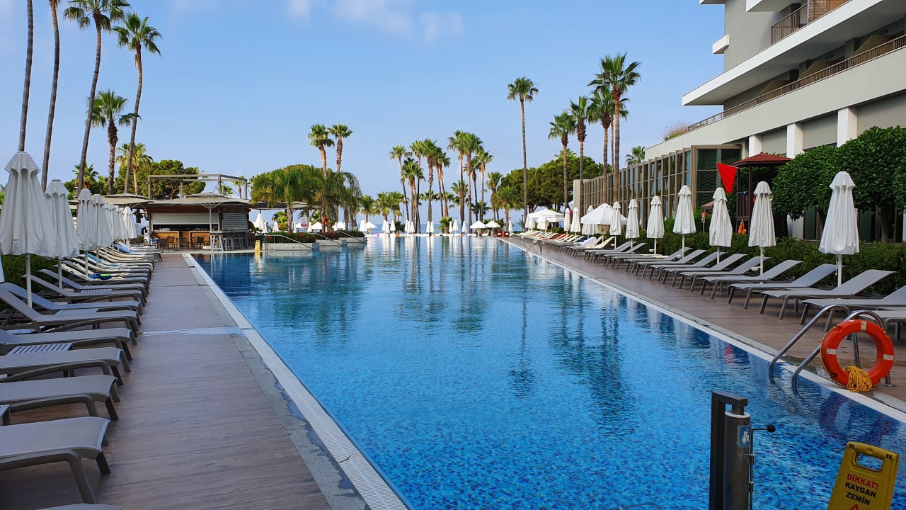 Pool Acanthus Cennet Barut Collection