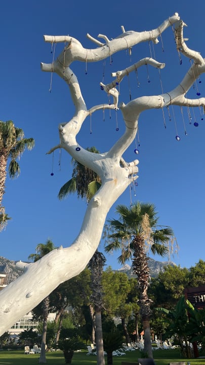 Sonstiges TUI MAGIC LIFE Beldibi +16