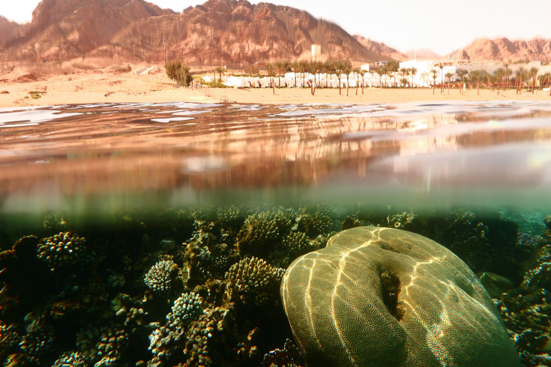 Sport & Freizeit Retac Qunay Dahab Resort and Spa