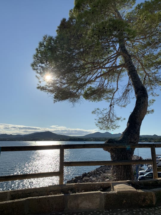 Ausblick Hipotels Eurotel Punta Rotja Golf & Spa