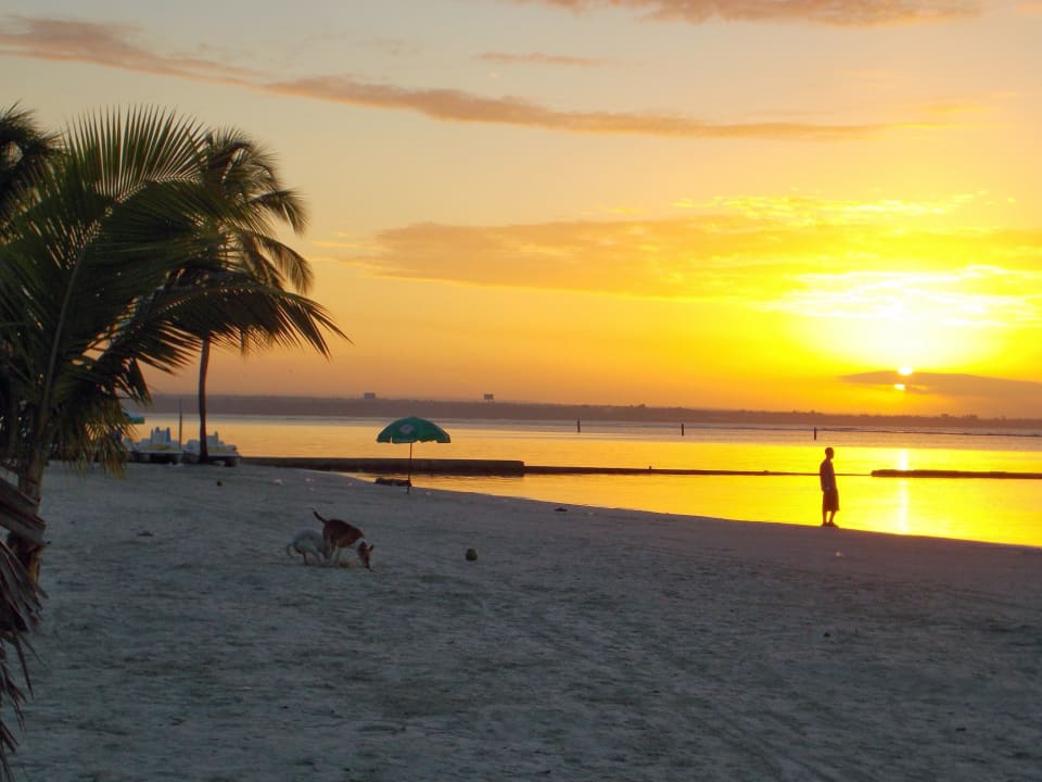 Sonnenaufgang whala!boca chica