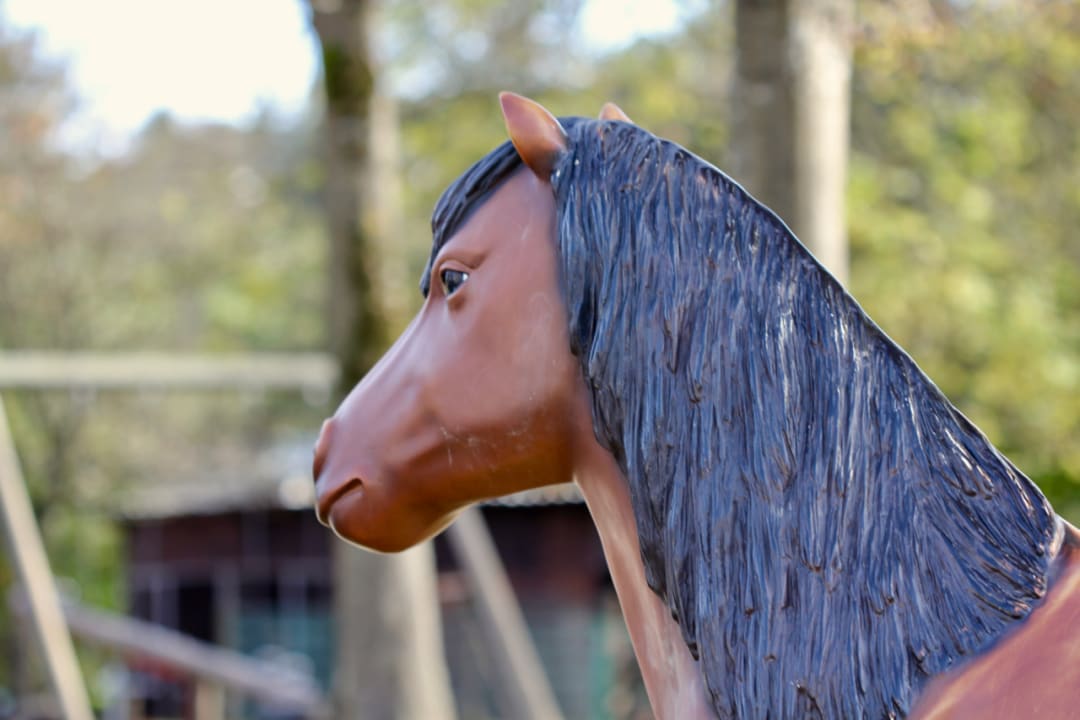 Sonstiges Ponyhof Meier